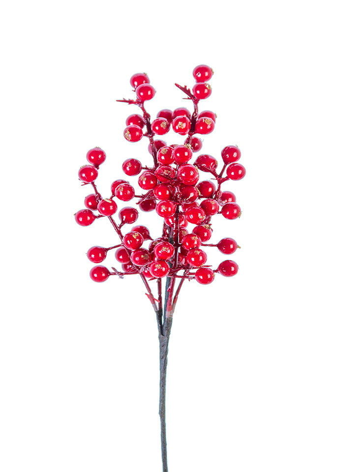 Glossy Red Berry Stem