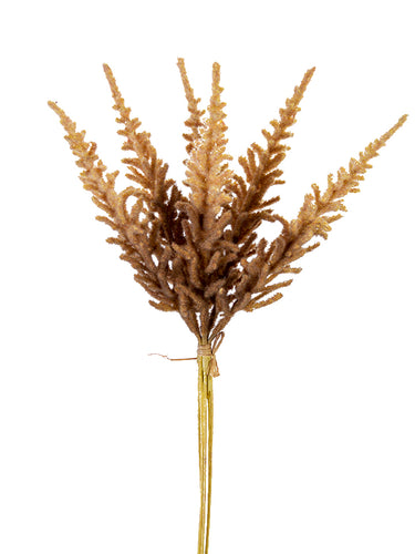 Dried Wheat