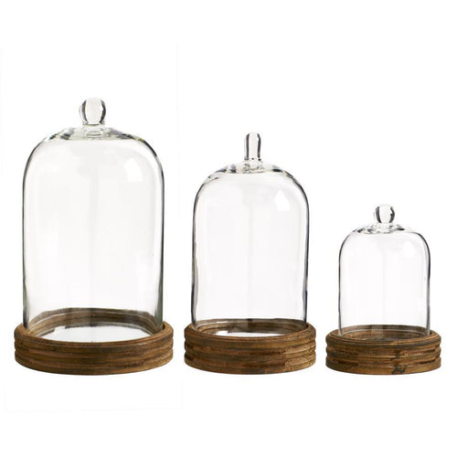 Glass Cloche + Mirror Base