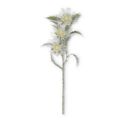 Flocked Thistle Stem