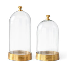 Glass Cloche + Base
