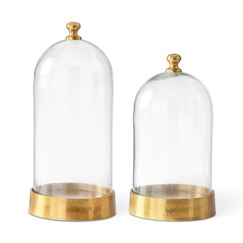 Glass Cloche + Base