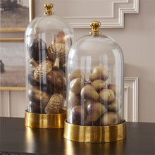 Glass Cloche + Base
