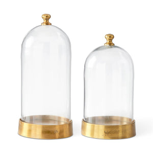 Glass Cloche + Base