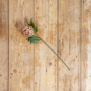 Beige Straw Mum