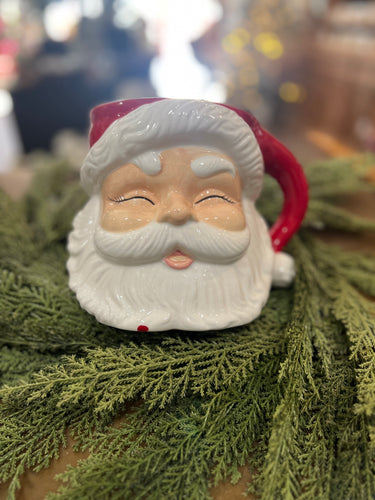 Santa Mug Container