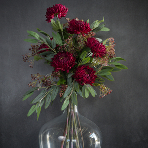 Wine  Chrysanthemum