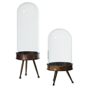 Cloche + Metal Stand