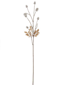 Thistle Stem