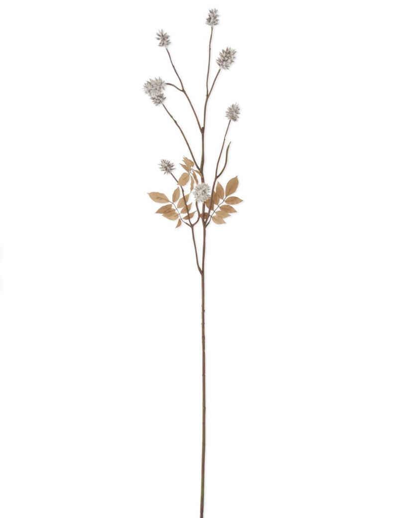 Thistle Stem