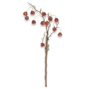 Mini Pumpkin Branch