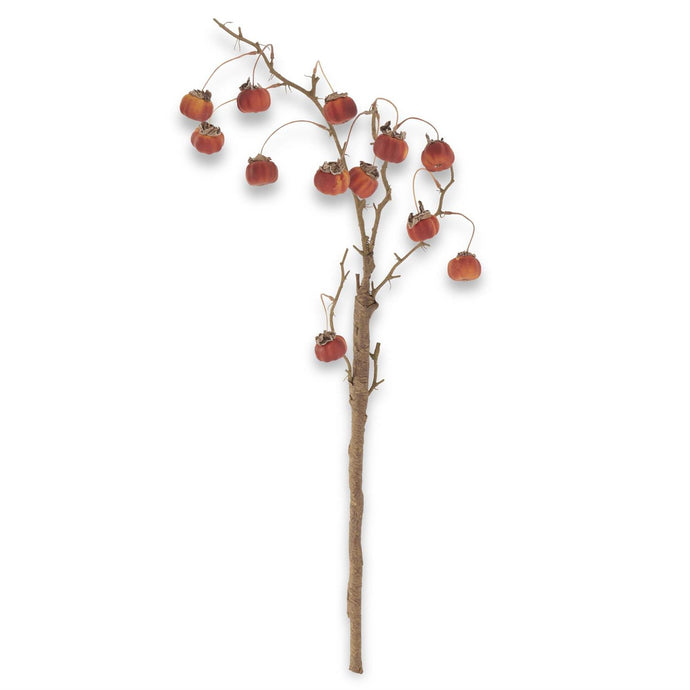 Mini Pumpkin Branch