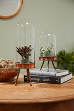 Cloche + Metal Stand