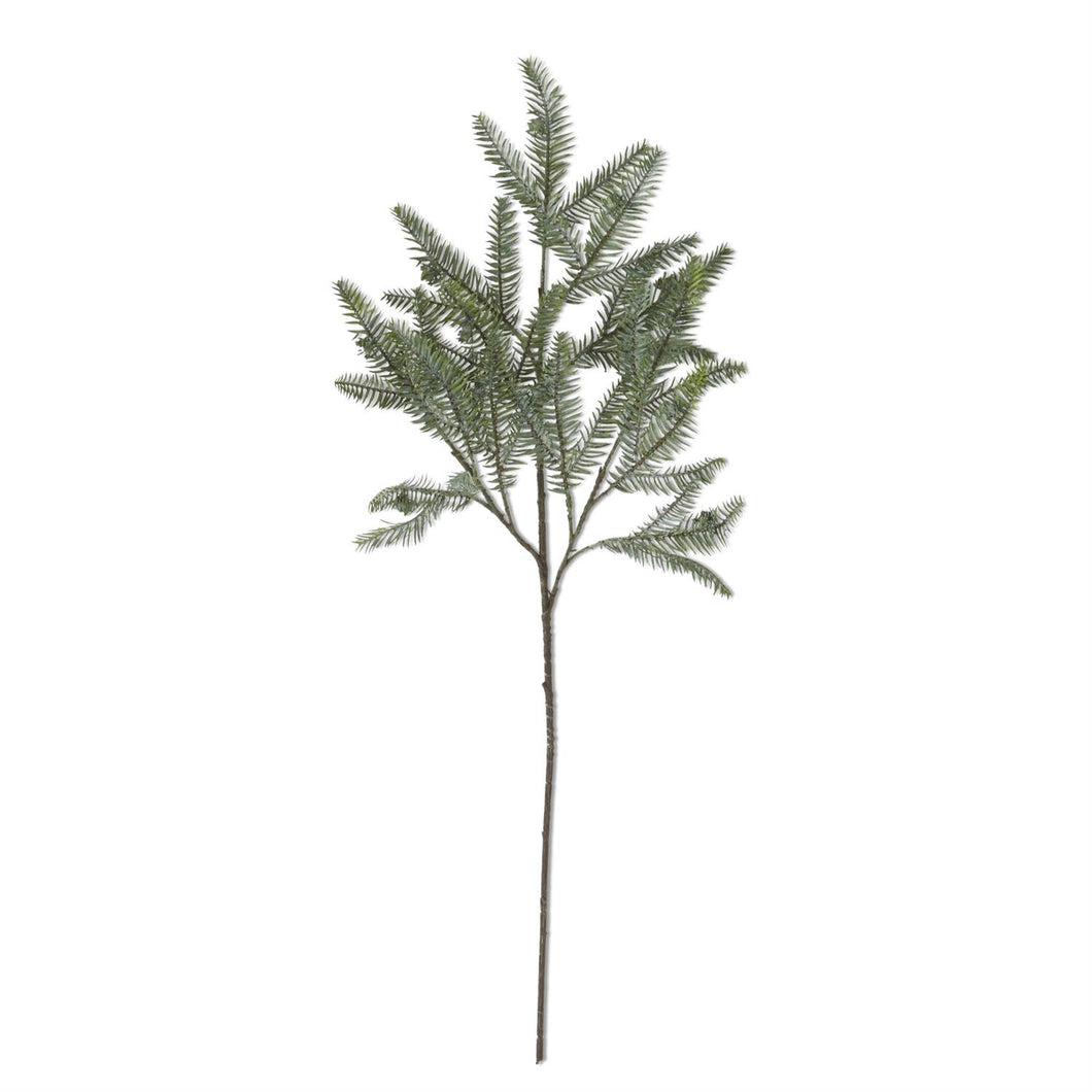 Pine Stem, Real Touch