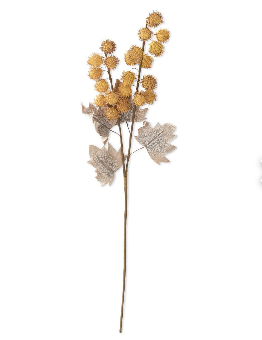 Yellow Pod Stem
