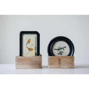 Framed  Bird Artwork