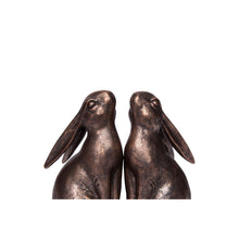 Bronze Bunny Bookends