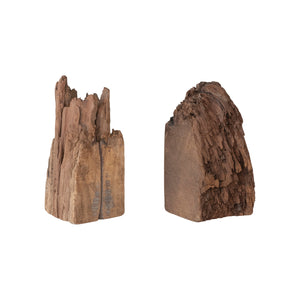 Wood Fragments