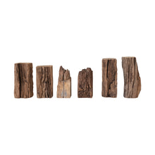 Wood Fragments