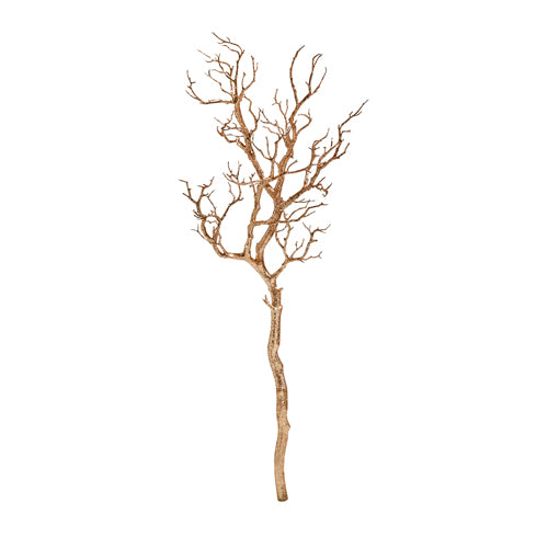 Champagne Branch