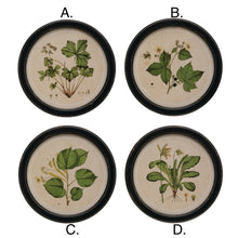 Round Framed Botanical