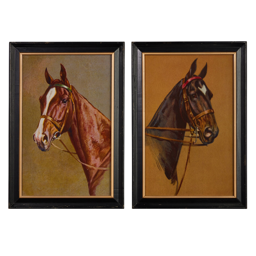 Horse Artwork