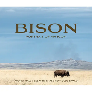 Bison, Portrait of An Icon