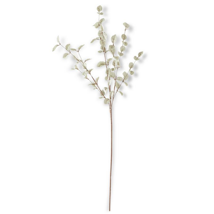 Sage Eucalyptus