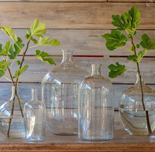 Clear Bottle Vases