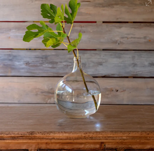 Clear Bottle Vases