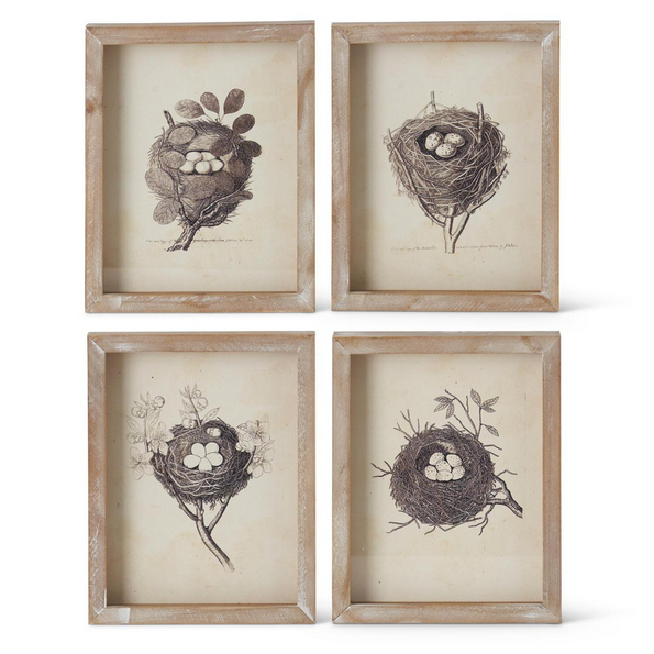 Nest Framed Artwork