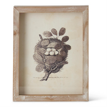 Nest Framed Artwork