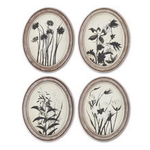 Oval Botanical Prints