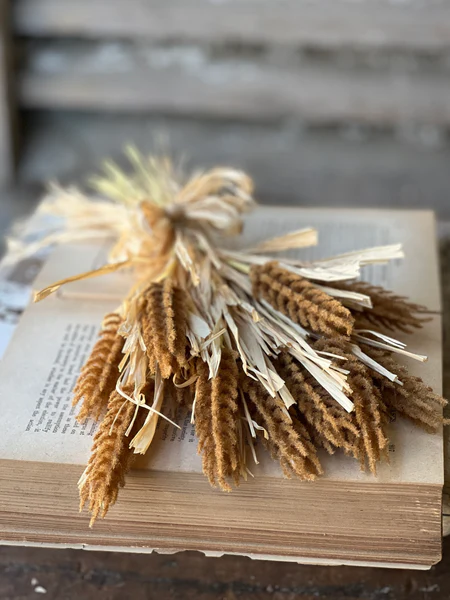 Tassel Grass Bundle