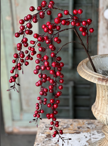 Hanging Red Berry