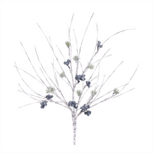 Pine +Blueberry Stem