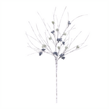 Pine +Blueberry Stem