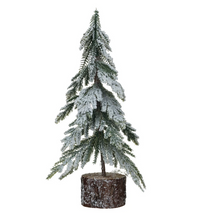 Snow Fir Tree