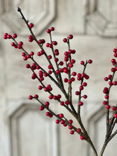 Red Berry Branch