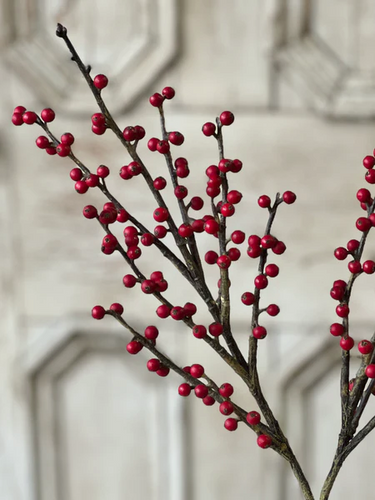 Red Berry Branch