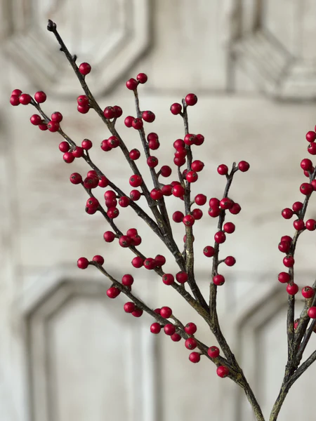 Red Berry Branch
