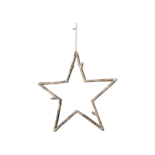 Gold Twig Star