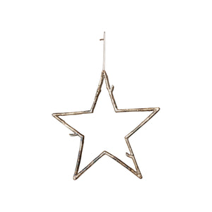 Gold Twig Star