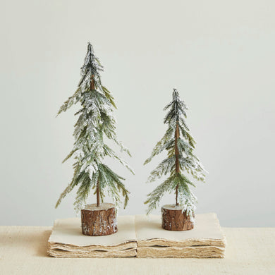 Snow Fir Tree