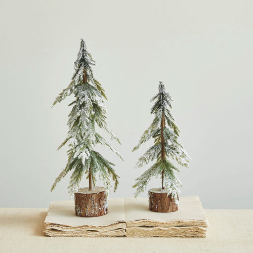 Snow Fir Tree