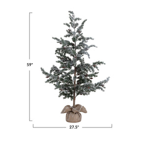 Frosted Evergreen, 5ft