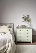 Annie Sloan Chalk Paint®- Coolabah Green