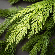 Mixed Cedar Candle Ring
