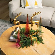 Mixed Cedar Candle Ring