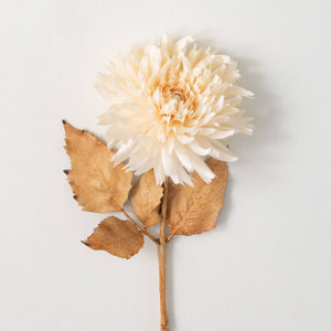 Ivory Dahlia